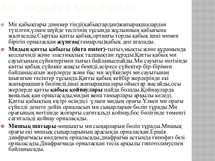 БАС МИДЫҢ 3 ҚАБЫҒЫ БАР: Ми қабықтары дәнекер тінді(қабықтардан)жапырақшалардан түзілген,үлкен