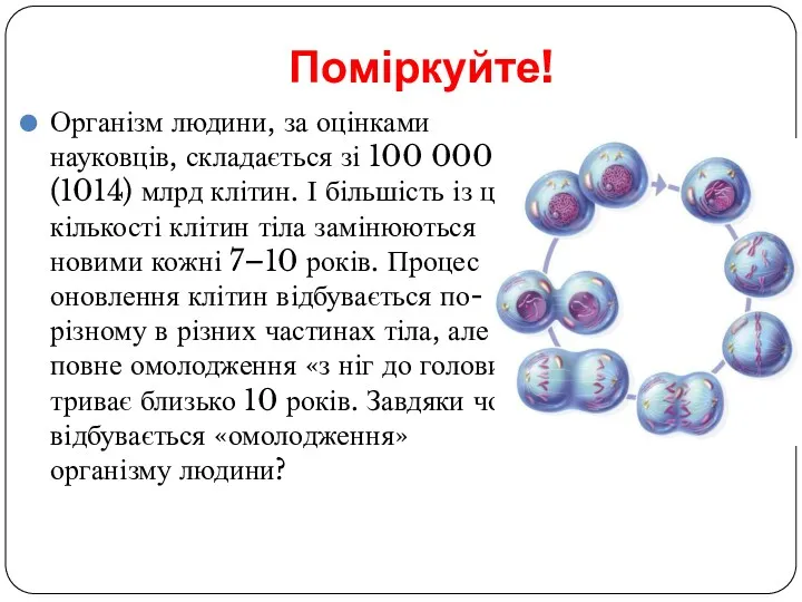 Поміркуйте! Організм людини, за оцінками науковців, складається зі 100 000 (1014) млрд клітин.