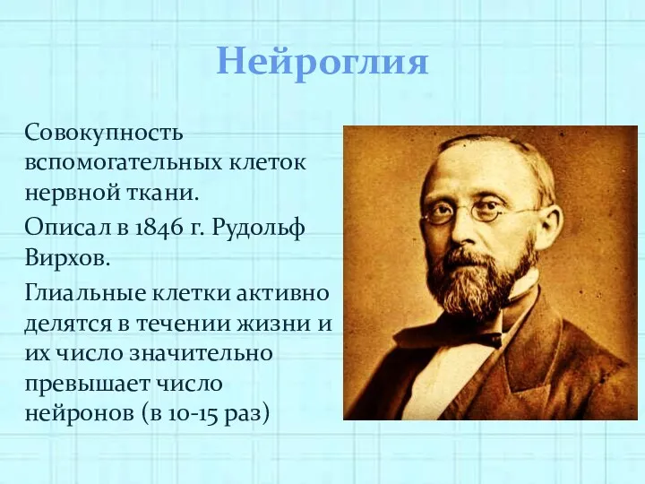 Нейроглия Совокупность вспомогательных клеток нервной ткани. Описал в 1846 г.