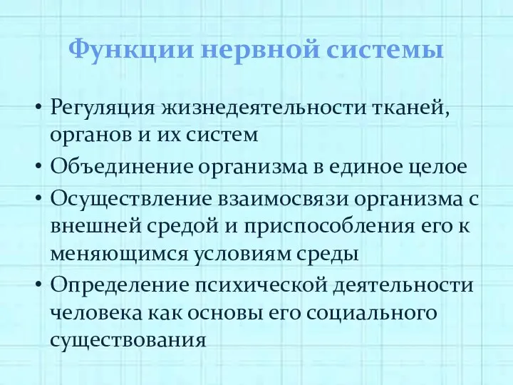 Функции нервной системы Регуляция жизнедеятельности тканей, органов и их систем