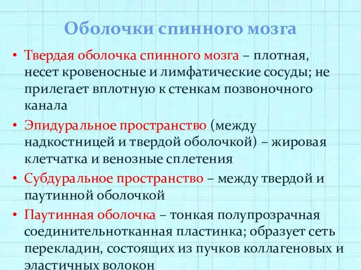 Оболочки спинного мозга Твердая оболочка спинного мозга – плотная, несет