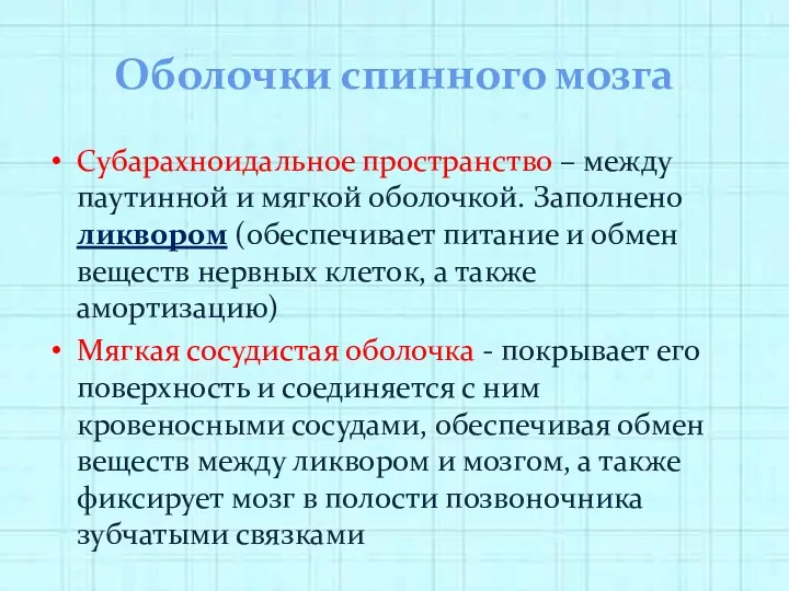 Оболочки спинного мозга Субарахноидальное пространство – между паутинной и мягкой