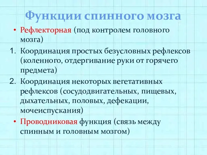 Функции спинного мозга Рефлекторная (под контролем головного мозга) Координация простых