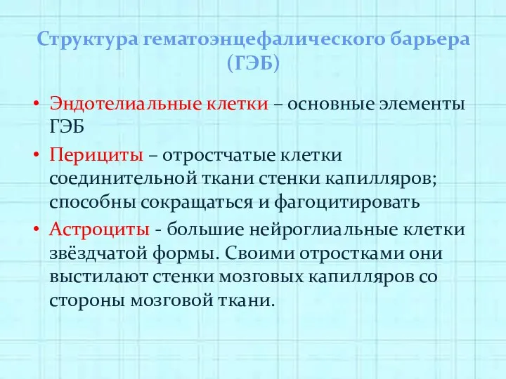 Структура гематоэнцефалического барьера (ГЭБ) Эндотелиальные клетки – основные элементы ГЭБ