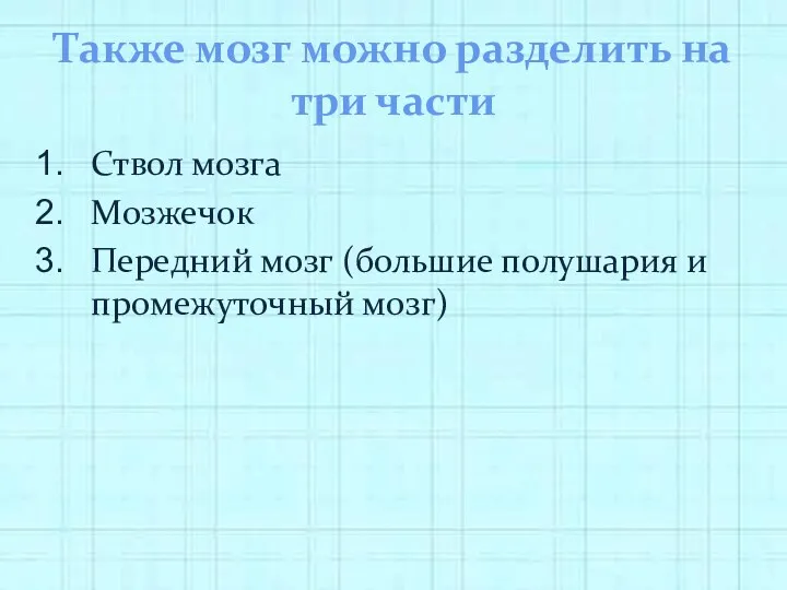 Также мозг можно разделить на три части Ствол мозга Мозжечок