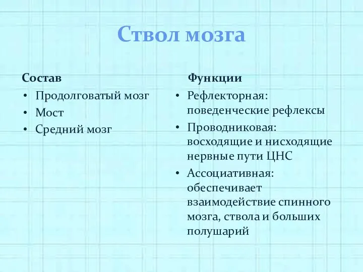 Ствол мозга Состав Продолговатый мозг Мост Средний мозг Функции Рефлекторная: