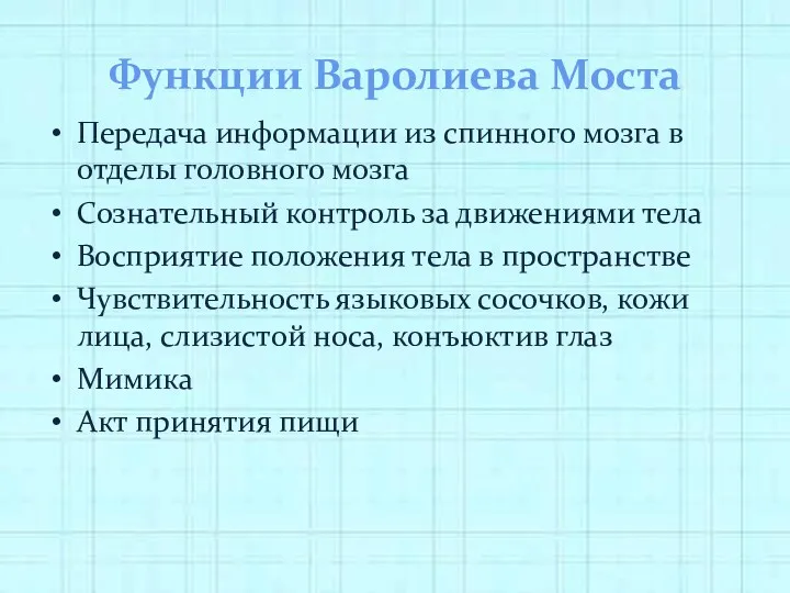 Функции Варолиева Моста Передача информации из спинного мозга в отделы