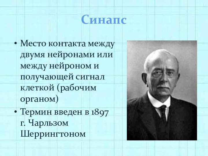 Синапс Место контакта между двумя нейронами или между нейроном и