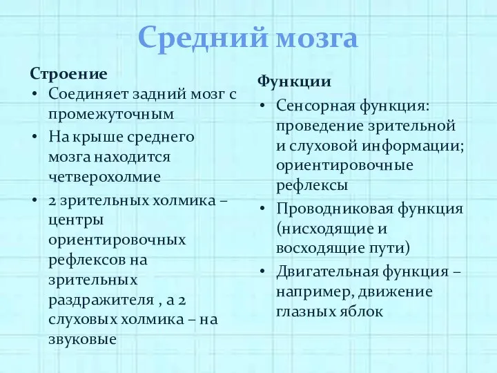 Средний мозга Строение Соединяет задний мозг с промежуточным На крыше