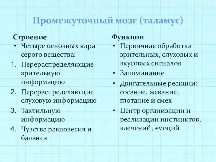 Промежуточный мозг (таламус) Строение Четыре основных ядра серого вещества: Перераспределяющие