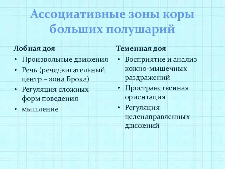 Ассоциативные зоны коры больших полушарий Лобная доя Произвольные движения Речь