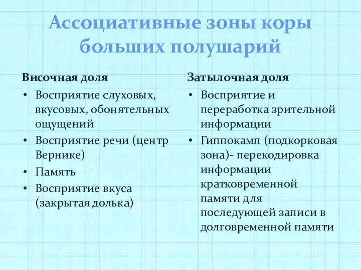 Ассоциативные зоны коры больших полушарий Височная доля Восприятие слуховых, вкусовых,