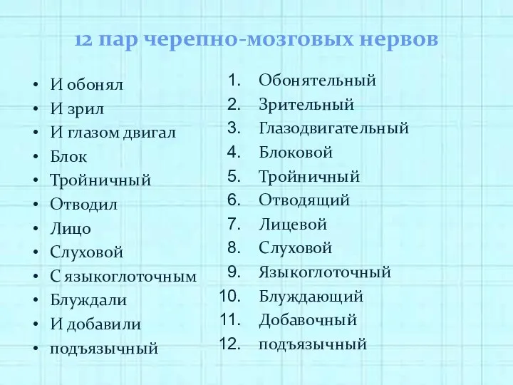 12 пар черепно-мозговых нервов И обонял И зрил И глазом