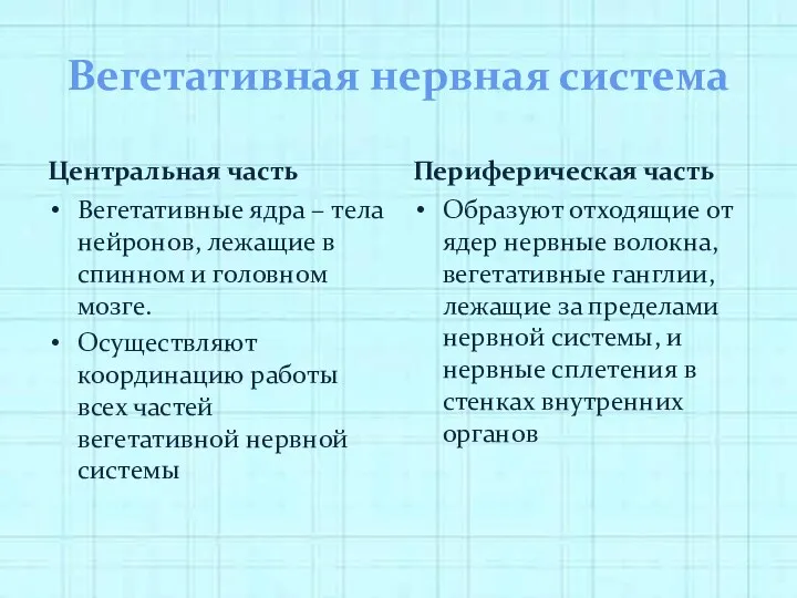 Вегетативная нервная система Центральная часть Вегетативные ядра – тела нейронов,