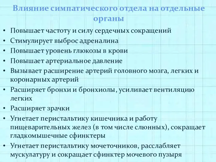 Влияние симпатического отдела на отдельные органы Повышает частоту и силу