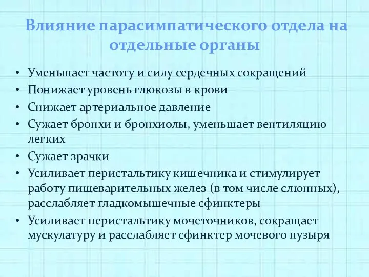 Влияние парасимпатического отдела на отдельные органы Уменьшает частоту и силу