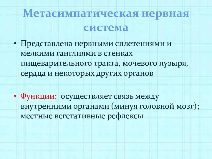 Метасимпатическая нервная система Представлена нервными сплетениями и мелкими ганглиями в