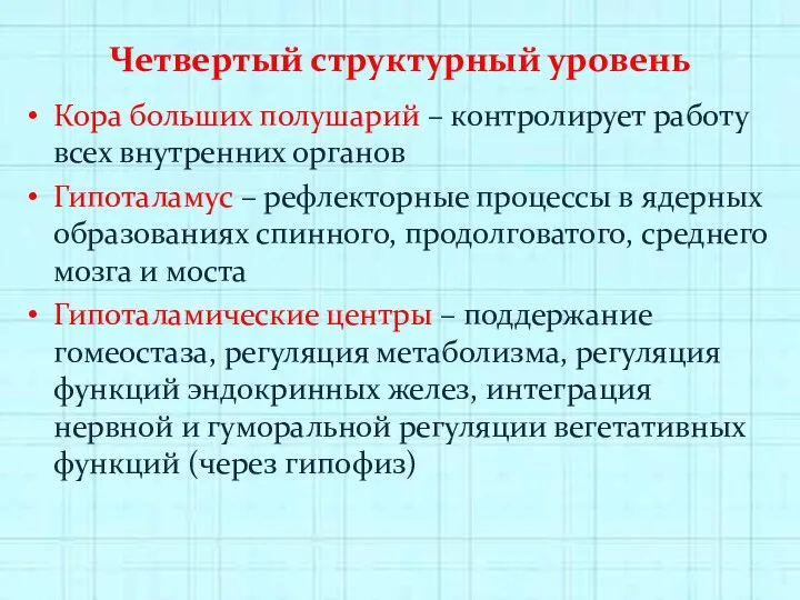 Четвертый структурный уровень Кора больших полушарий – контролирует работу всех