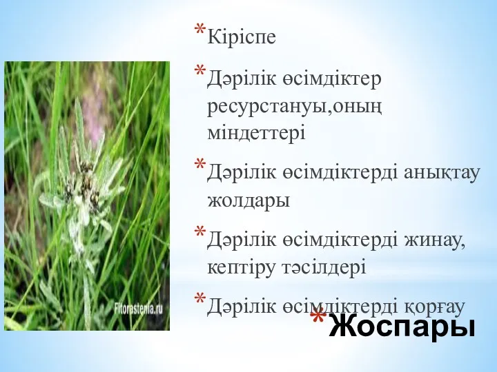 Жоспары Кіріспе Дәрілік өсімдіктер ресурстануы,оның міндеттері Дәрілік өсімдіктерді анықтау жолдары