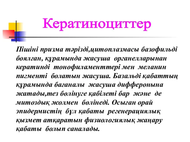 Пішіні призма тәрізді,цитоплазмасы базофильді боялған, құрамында жасуша органелларынан кератинді тонофиламенттері