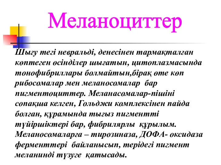 Шығу тегі невральді, денесінен тармақталған көптеген өсінділер шығатын, цитоплазмасында тонофибриллары