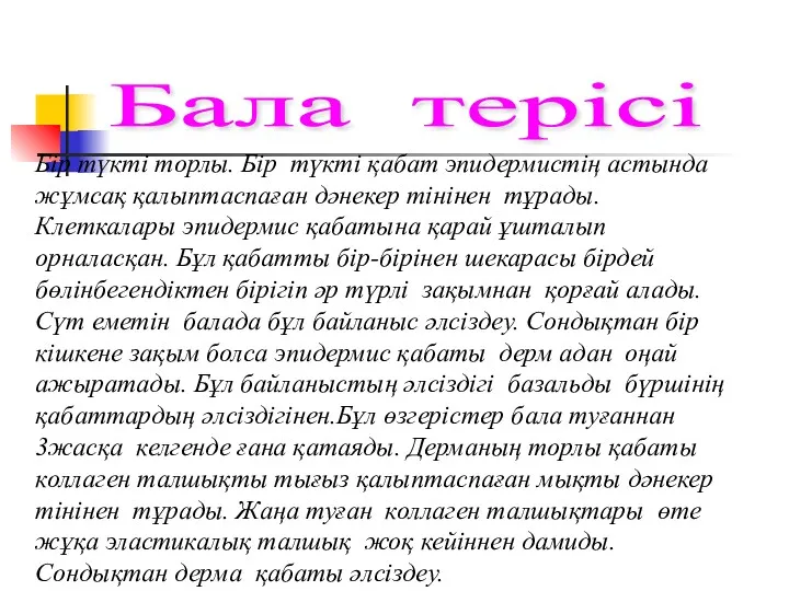 Бір түкті торлы. Бір түкті қабат эпидермистің астында жұмсақ қалыптаспаған