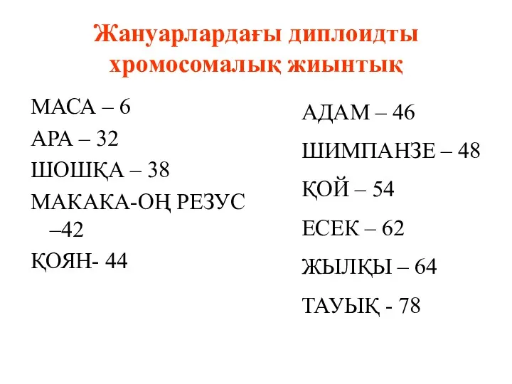 Жануарлардағы диплоидты хромосомалық жиынтық МАСА – 6 АРА – 32