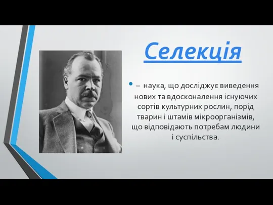 Селекція – наука, що досліджує виведення нових та вдосконалення існуючих