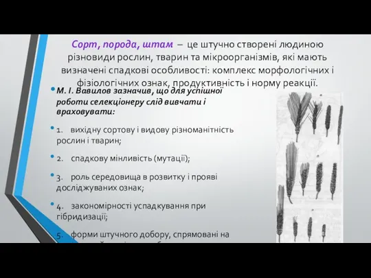 Сорт, порода, штам – це штучно створені людиною різновиди рослин,