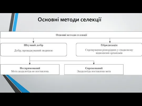 Основні методи селекції