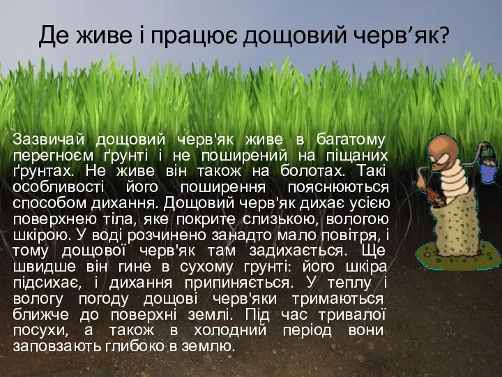 Зазвичай дощовий черв'як живе в багатому перегноєм ґрунті і не