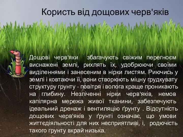 Користь від дощових черв'яків Дощові черв'яки збагачують свіжим перегноєм виснажені