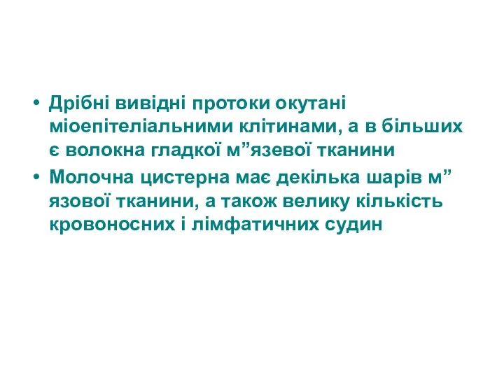 Дрібні вивідні протоки окутані міоепітеліальними клітинами, а в більших є