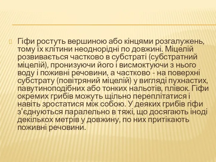 Гіфи ростуть вершиною або кінцями розгалужень, тому їх клітини неоднорідні