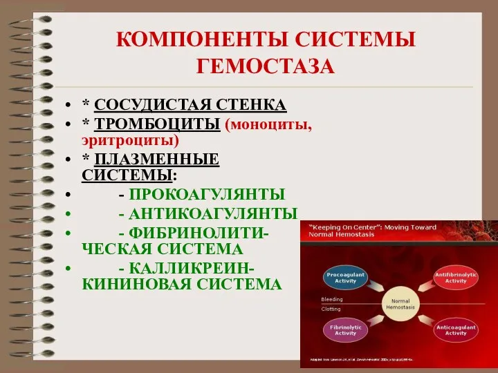 КОМПОНЕНТЫ СИСТЕМЫ ГЕМОСТАЗА * СОСУДИСТАЯ СТЕНКА * ТРОМБОЦИТЫ (моноциты, эритроциты) * ПЛАЗМЕННЫЕ СИСТЕМЫ: