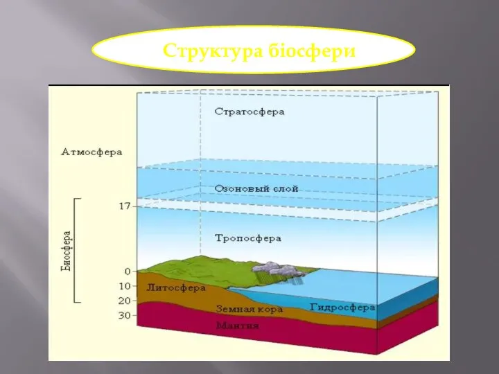 Структура біосфери