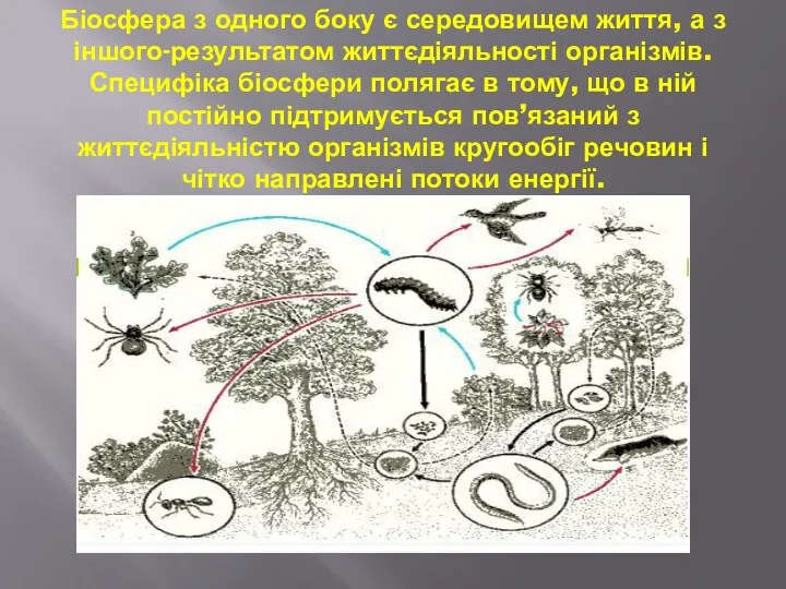 Біосфера з одного боку є середовищем життя, а з іншого-результатом