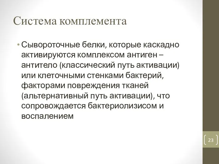 Система комплемента Сывороточные белки, которые каскадно активируются комплексом антиген –