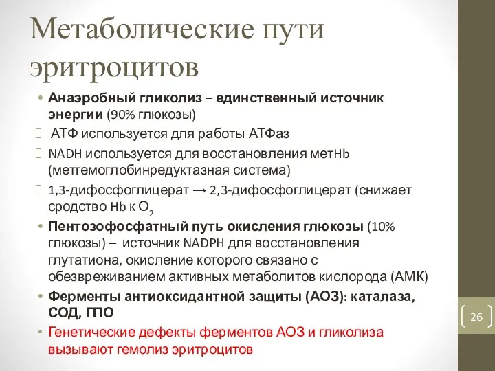 Метаболические пути эритроцитов Анаэробный гликолиз – единственный источник энергии (90%