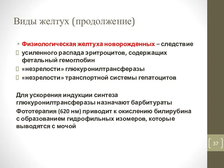 Виды желтух (продолжение) Физиологическая желтуха новорожденных – следствие усиленного распада