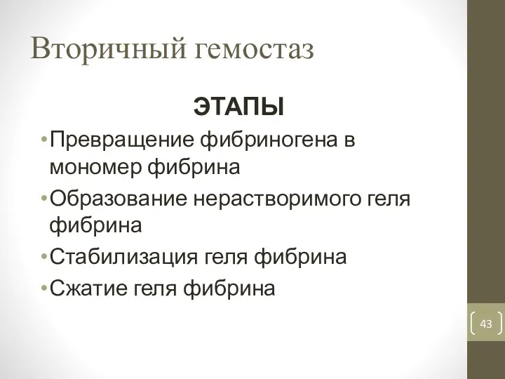 Вторичный гемостаз ЭТАПЫ Превращение фибриногена в мономер фибрина Образование нерастворимого