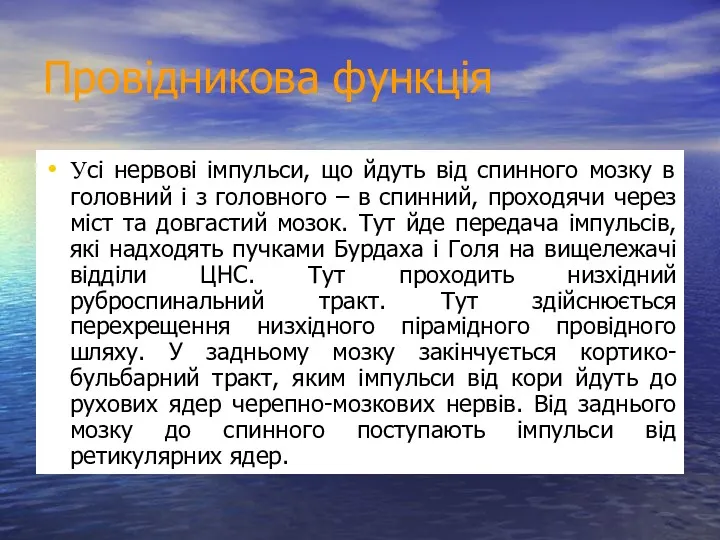 Провідникова функція Усі нервові імпульси, що йдуть від спинного мозку