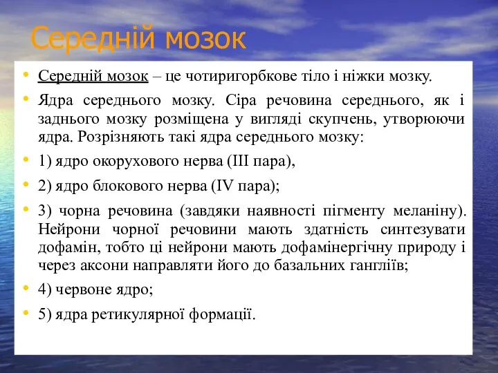 Середній мозок Середній мозок – це чотиригорбкове тіло і ніжки