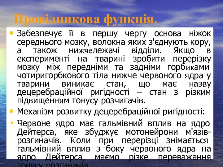 Провідникова функція. Забезпечує її в першу чергу основа ніжок середнього