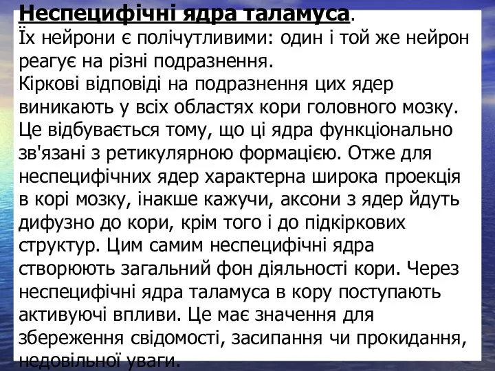 Неспецифічні ядра таламуса. Їх нейрони є полічутливими: один і той