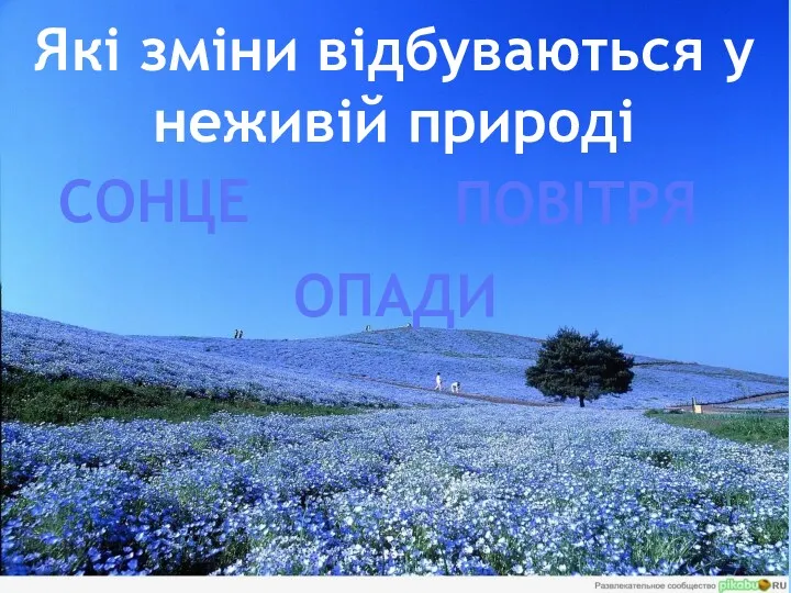 Які зміни відбуваються у неживій природі СОНЦЕ ПОВІТРЯ ОПАДИ