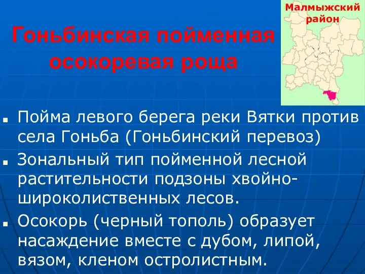 Гоньбинская пойменная осокоревая роща Пойма левого берега реки Вятки против