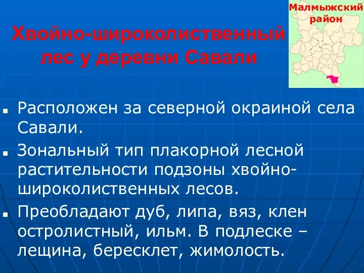 Хвойно-широколиственный лес у деревни Савали Расположен за северной окраиной села