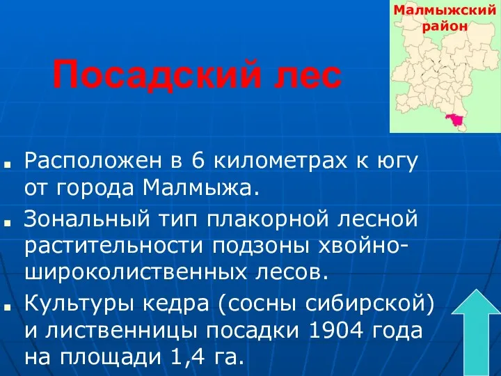 Посадский лес Расположен в 6 километрах к югу от города