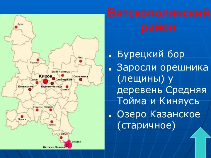 Вятскополянский район Бурецкий бор Заросли орешника (лещины) у деревень Средняя Тойма и Киняусь Озеро Казанское (старичное)